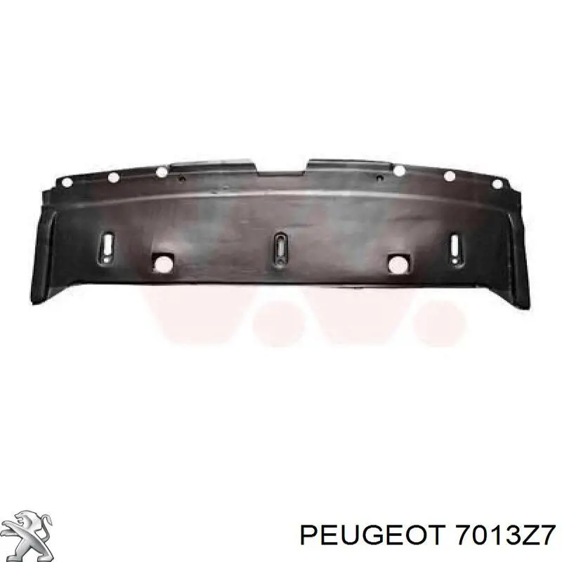7013Z7 Peugeot/Citroen deflector de parachoques delantero