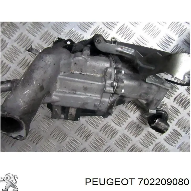 Comprar 702209080 Peugeot/Citroen Válvula EGR