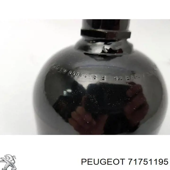 71751195 Peugeot/Citroen