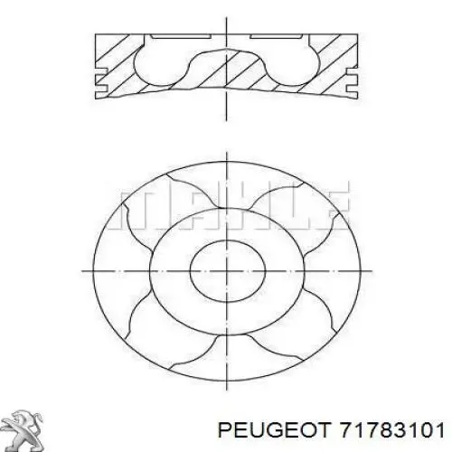 71783101 Peugeot/Citroen pistón