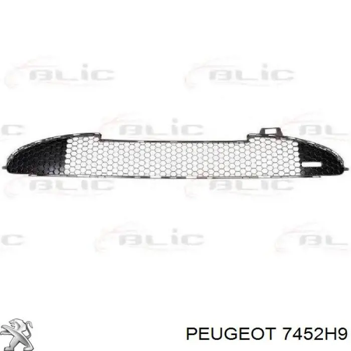 Protector, parachoques delantero Peugeot/Citroen 7452H9 precio, desde 30,11 EUR