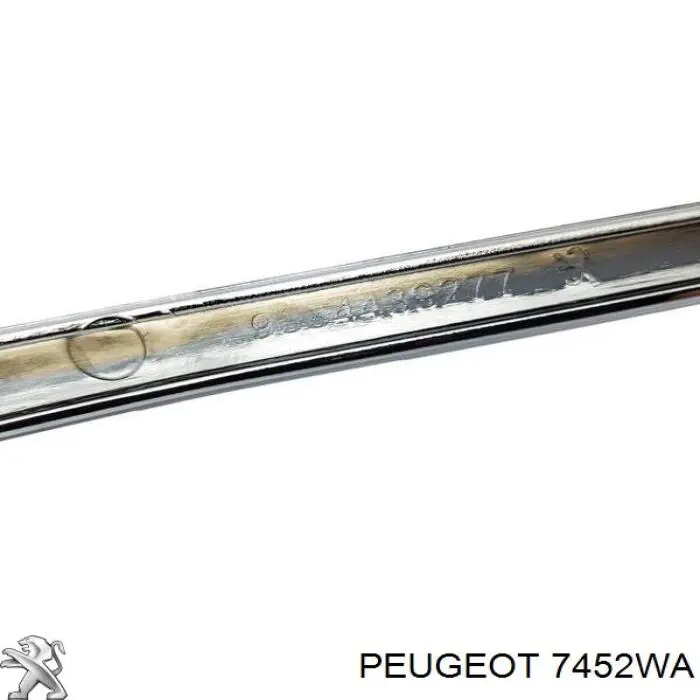 Moldura de parachoques trasero Peugeot/Citroen 7452WA precio, desde 129,12 EUR