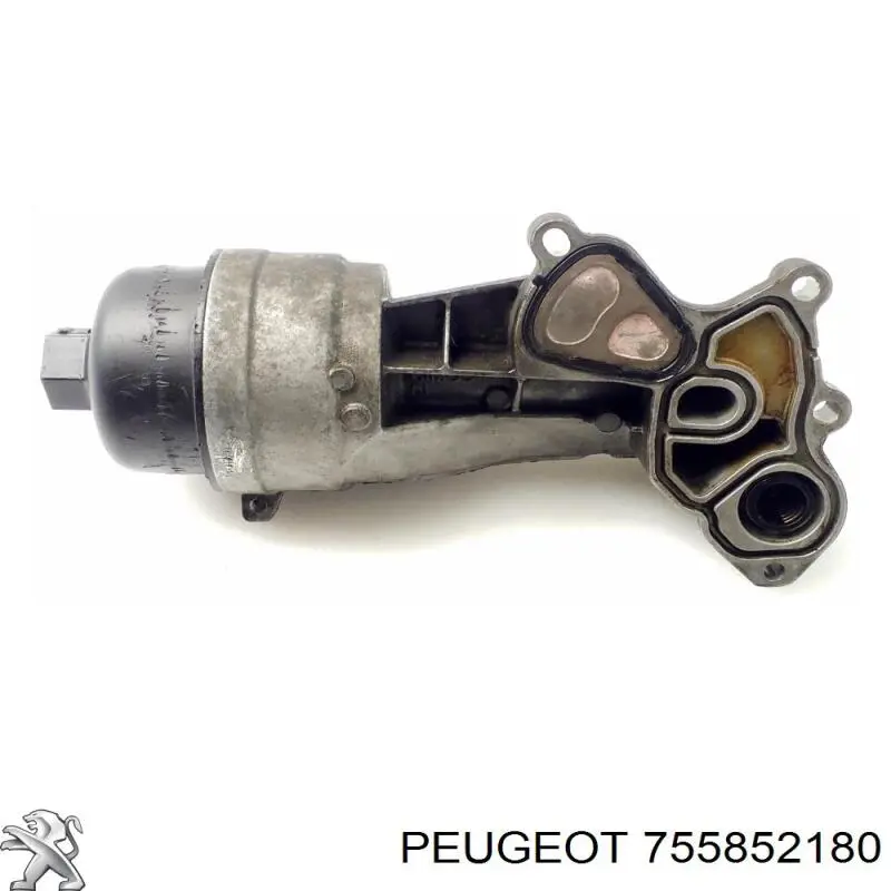755852180 Peugeot/Citroen caja, filtro de aceite