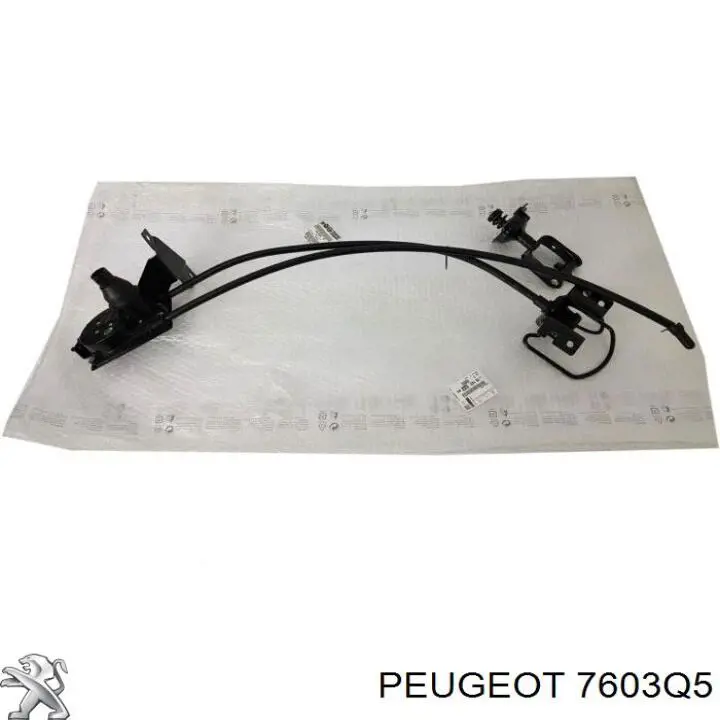 Soporte de rueda de repuesto Peugeot/Citroen 7603Q5 precio, desde 90,02 EUR