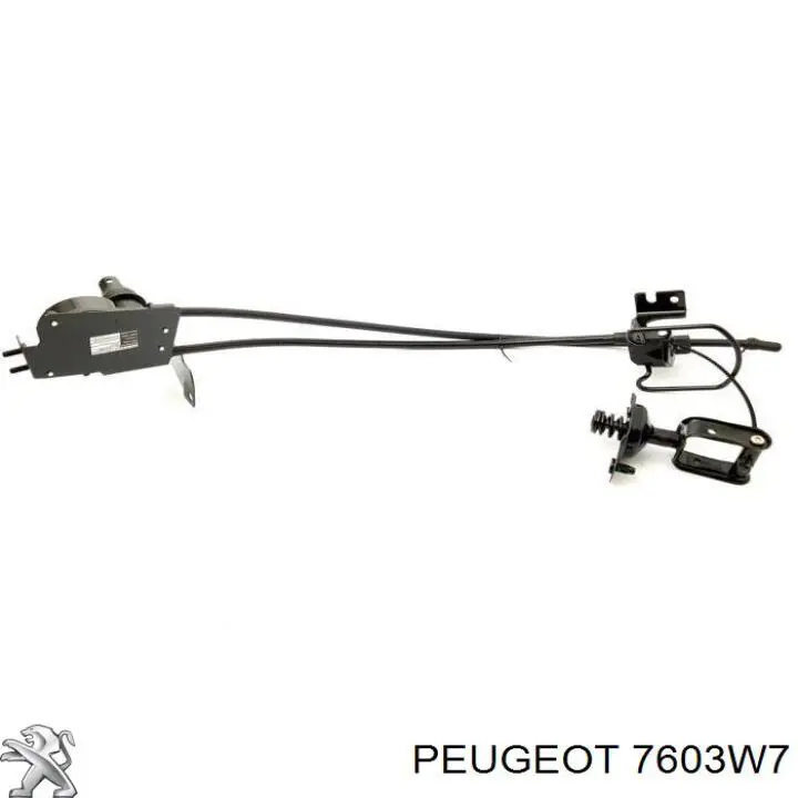 Soporte de rueda de repuesto Peugeot Boxer (250)