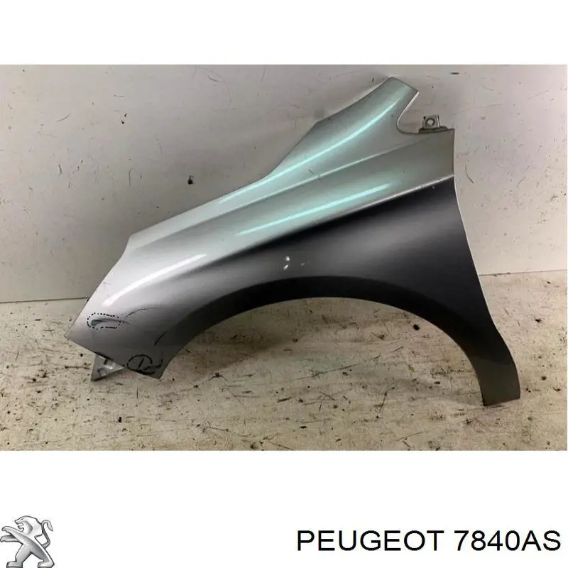 Aleta delantera izquierda Peugeot/Citroen 7840AS precio, desde 124,87 EUR