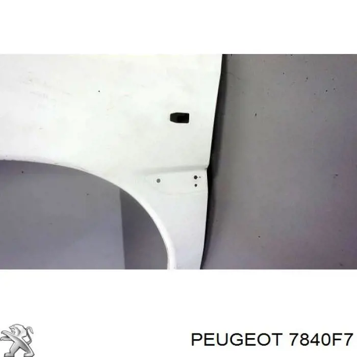 7840F7 Peugeot/Citroen guardabarros delantero izquierdo