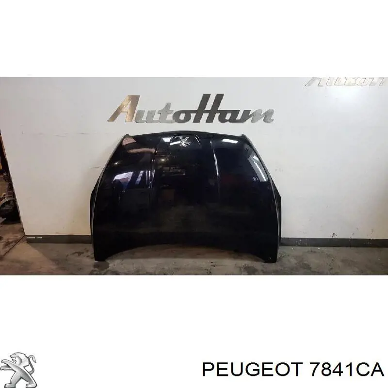 7841CA Peugeot/Citroen guardabarros delantero derecho