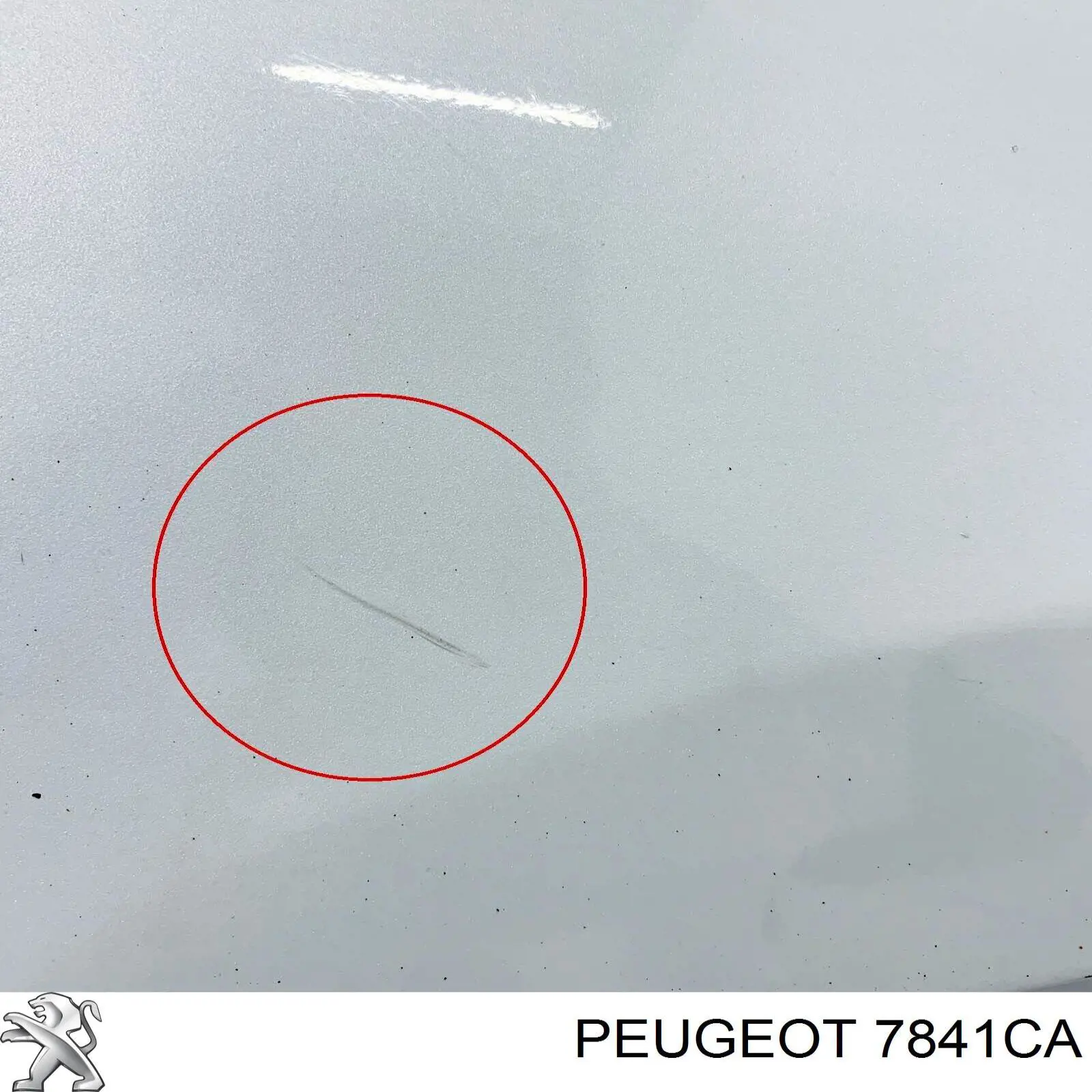 Guardabarros delanteros derecho Peugeot/Citroen 7841CA precio, desde 148,10 EUR