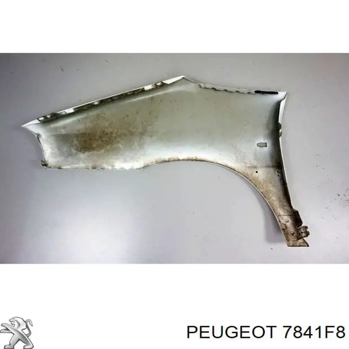 7841F8 Peugeot/Citroen guardabarros delantero derecho