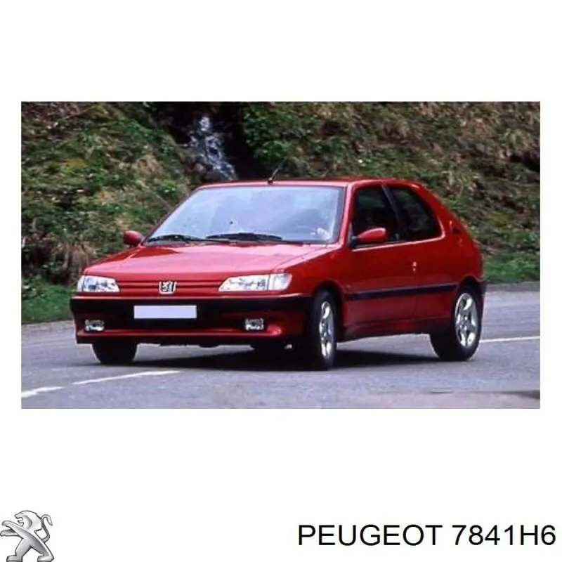7841H6 Peugeot/Citroen guardabarros delantero derecho