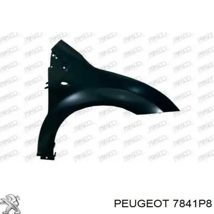 7841P8 Peugeot/Citroen guardabarros delantero derecho