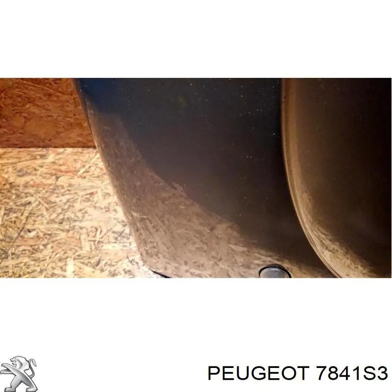 Comprar 7841S3 Peugeot/Citroen Aleta