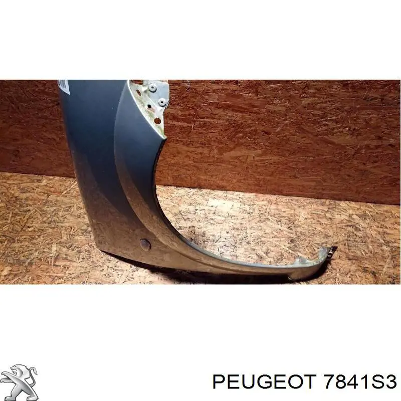Guardabarros delanteros derecho Peugeot/Citroen 7841S3 precio, desde 107,45 EUR