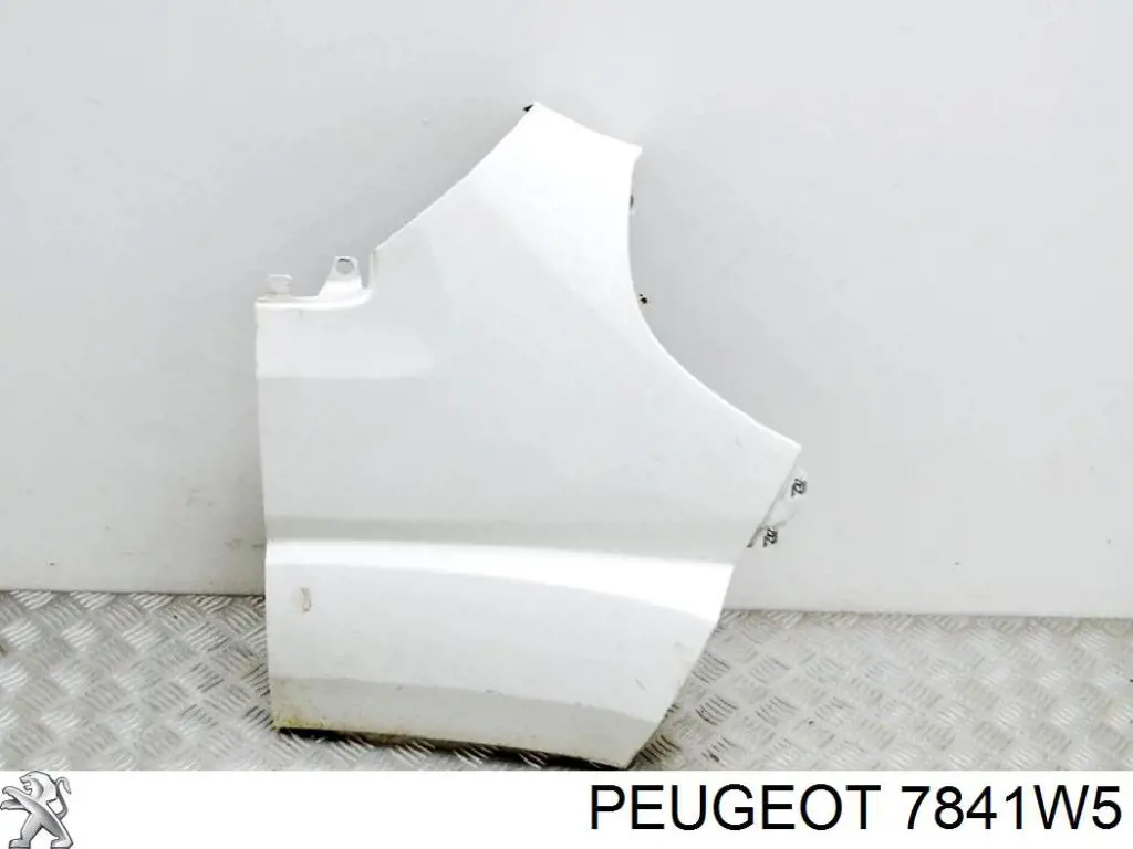 Guardabarros delanteros derecho Peugeot/Citroen 7841W5 precio, desde 89,19 EUR
