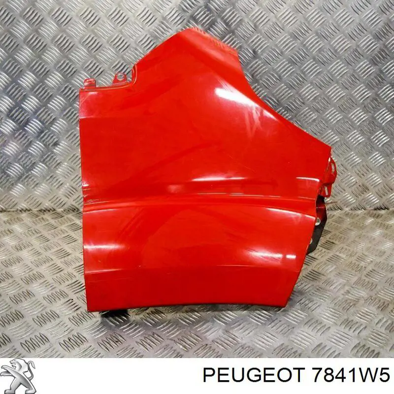 7841W5 Peugeot/Citroen guardabarros delantero derecho