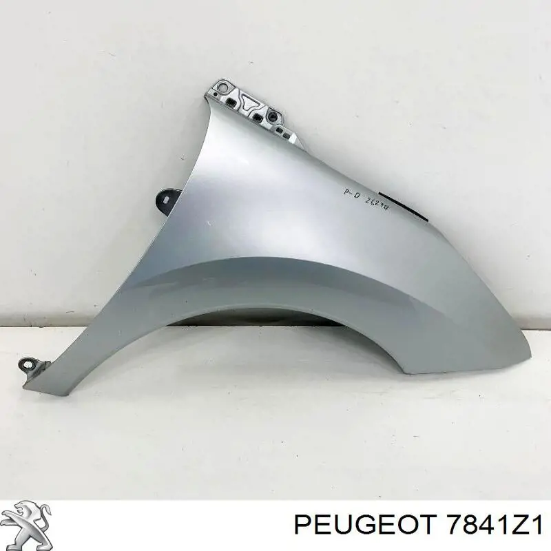 Guardabarros delanteros derecho Peugeot/Citroen 7841Z1 precio, desde 140,84 EUR