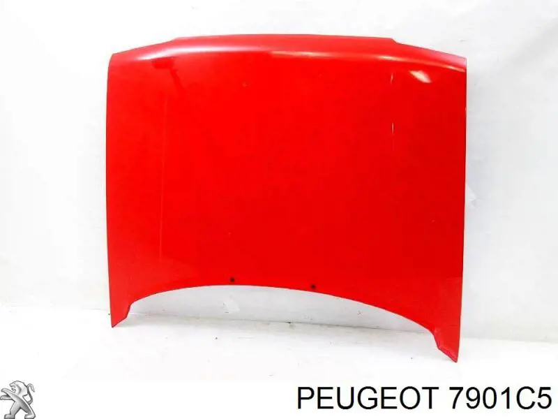 Capó del motor Peugeot/Citroen 7901C5 precio, desde 165,53 EUR