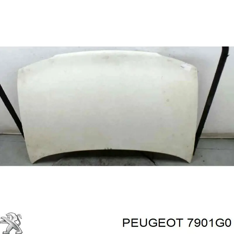7901G0 Peugeot/Citroen capó