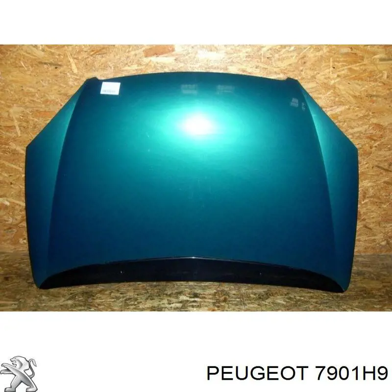 7901H9 Peugeot/Citroen capó