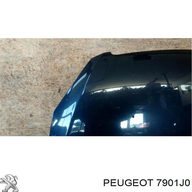 Comprar 7901J0 Peugeot/Citroen Capó