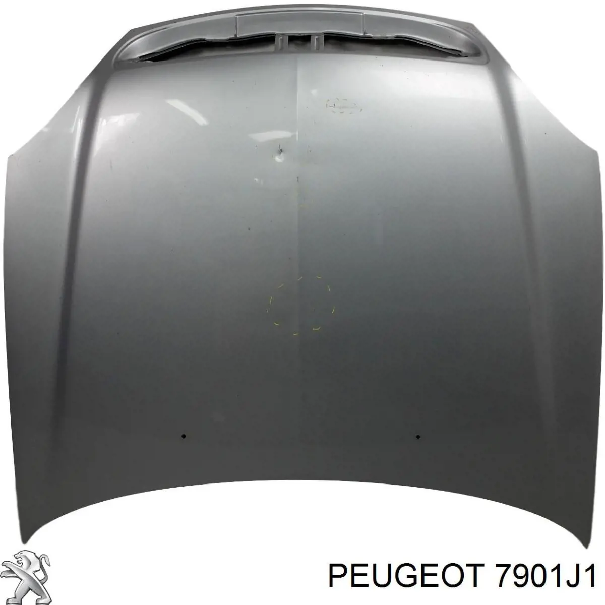 Capó del motor Peugeot/Citroen 7901J1 precio, desde 174,24 EUR