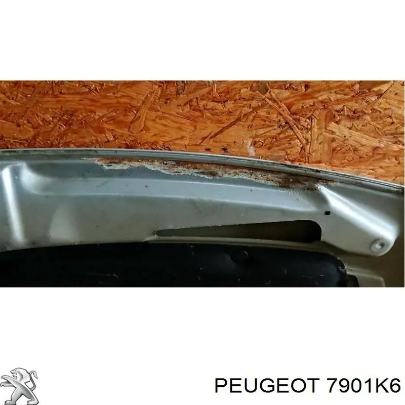 Capó CI3203100 Prasco