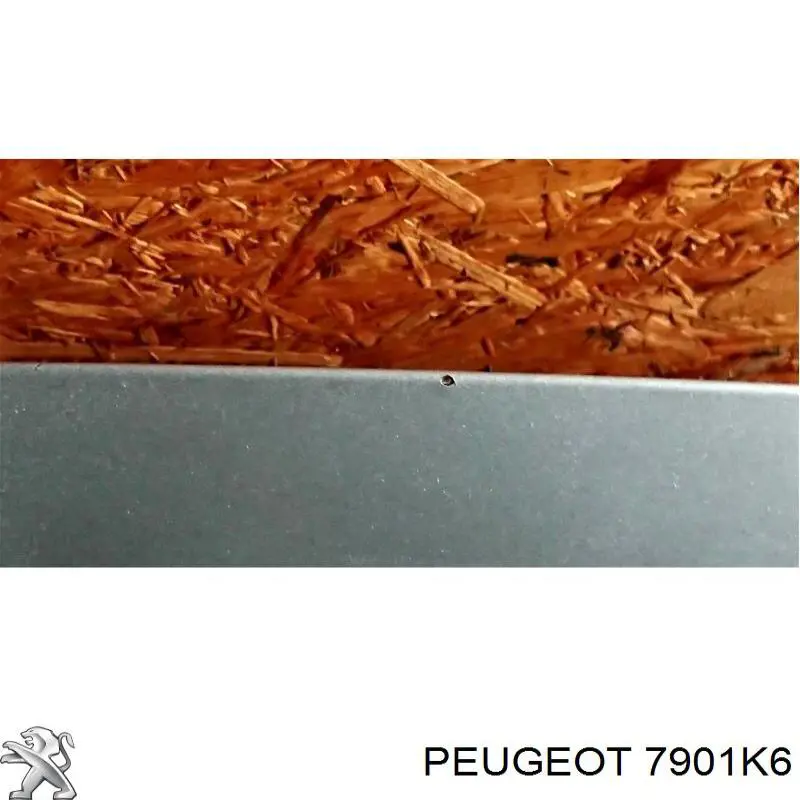 Capot Prasco CI3203100