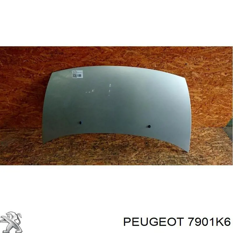 7901K6 Peugeot/Citroen capó