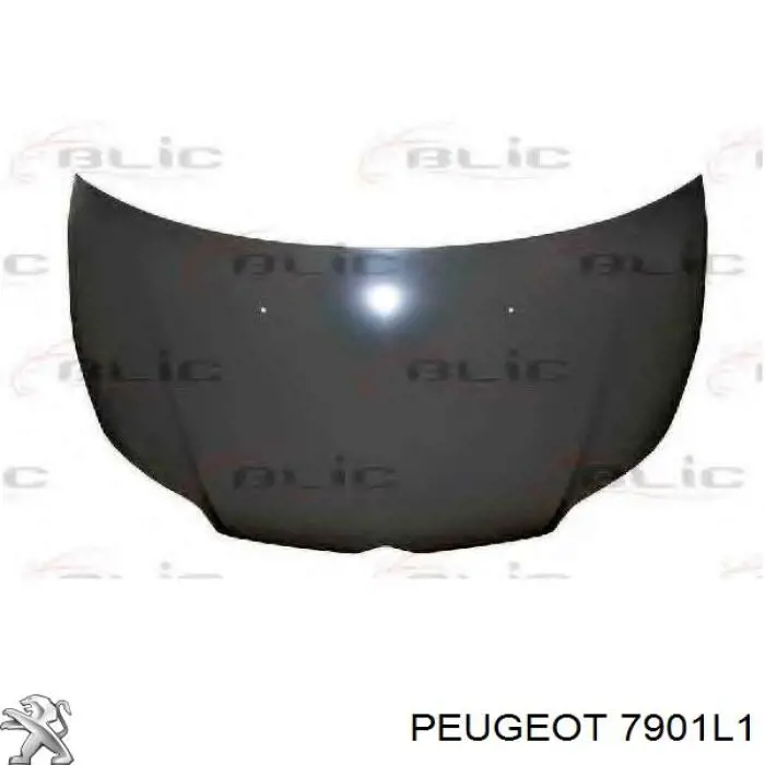 Capó del motor Peugeot/Citroen 7901L1 precio, desde 154,37 EUR