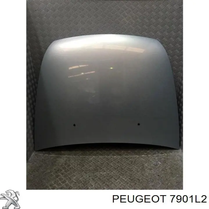 Capot para Peugeot 607 9D, 9U