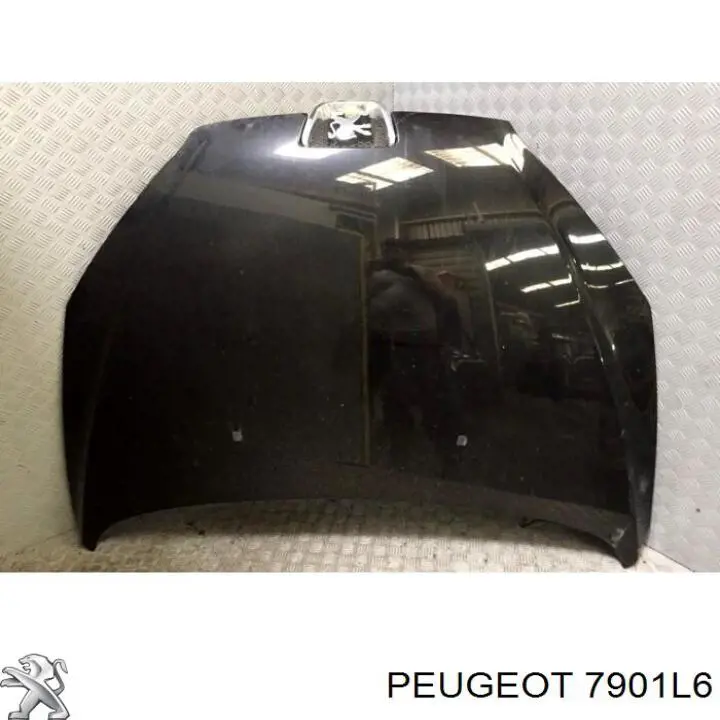 Capó del motor Peugeot/Citroen 7901L6 precio, desde 265,72 EUR