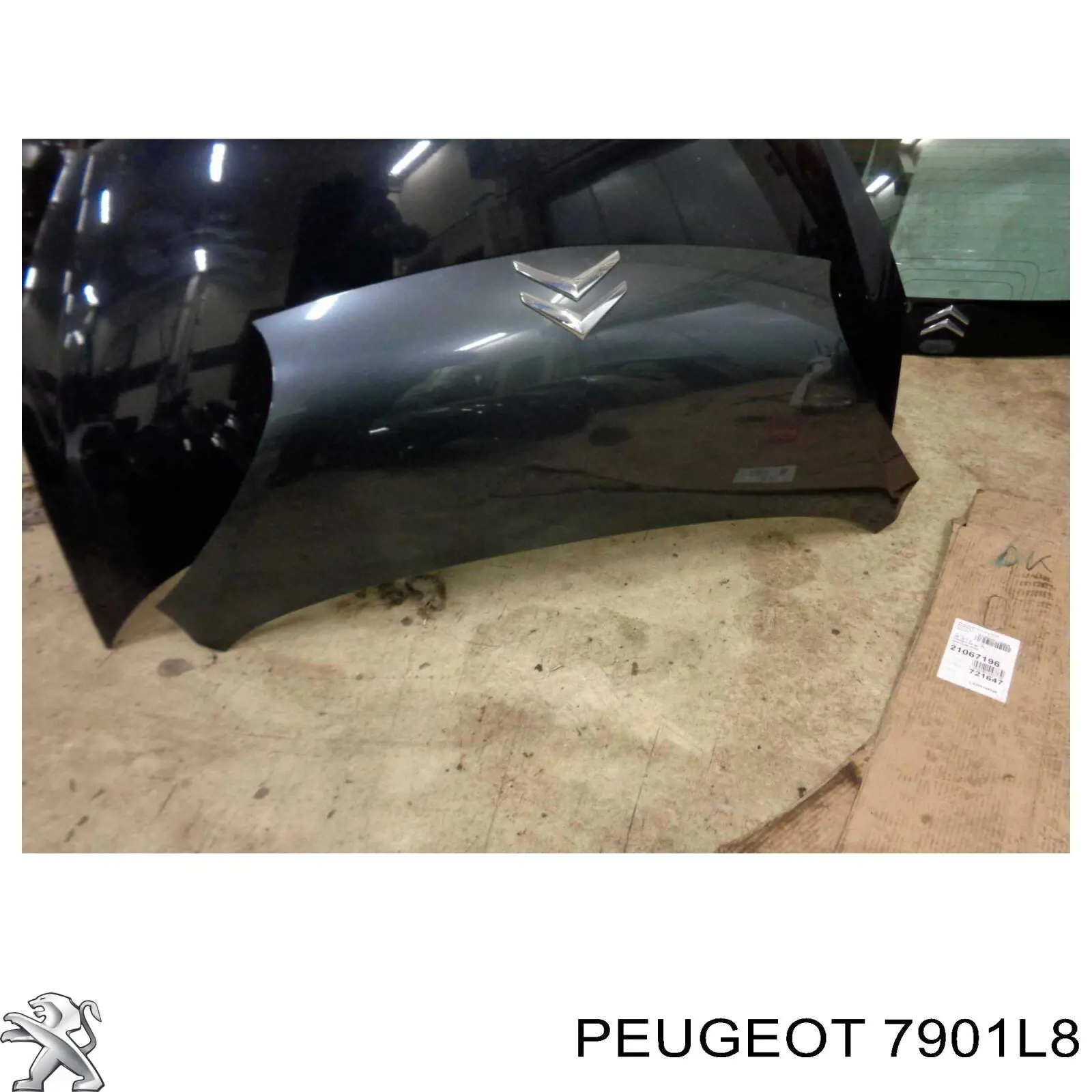 7901L8 Peugeot/Citroen capó