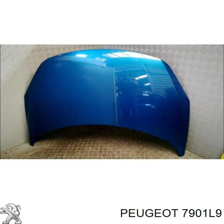 Capó del motor Peugeot/Citroen 7901L9 precio, desde 127,78 EUR