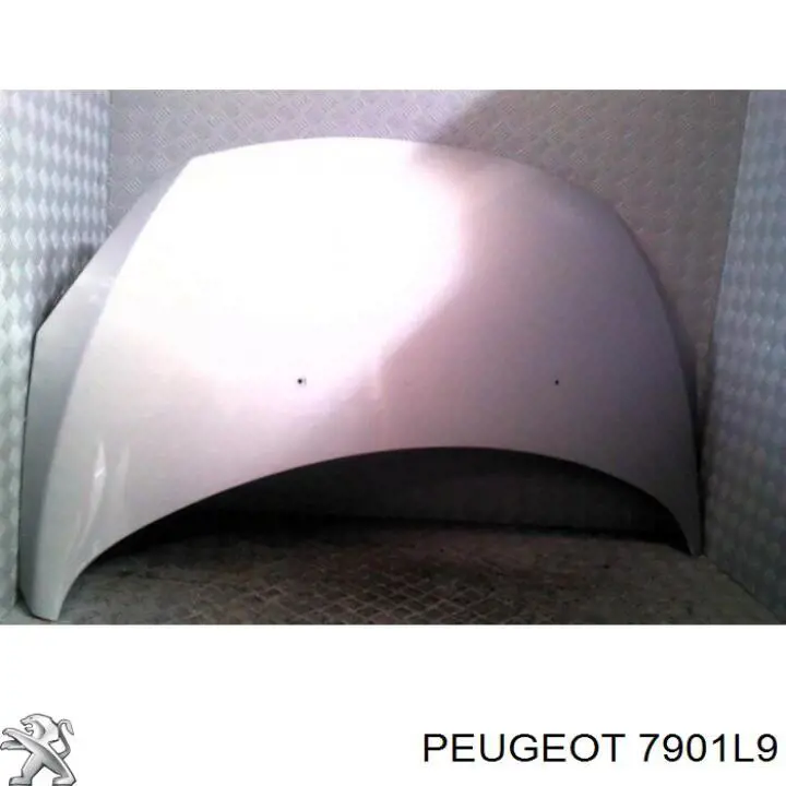 Comprar 7901L9 Peugeot/Citroen Capó