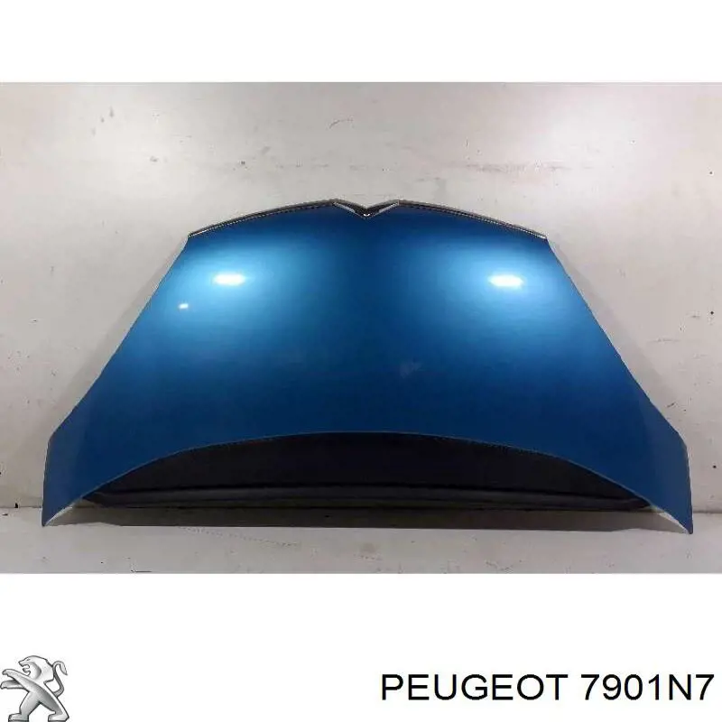 Capó del motor Peugeot/Citroen 7901N7 precio, desde 172,79 EUR