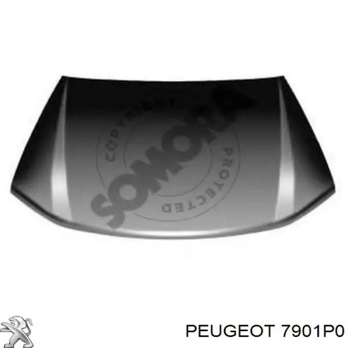 7901P0 Peugeot/Citroen capó