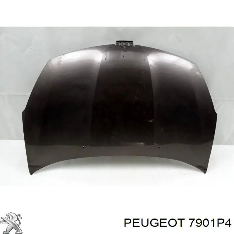 7901P4 Peugeot/Citroen capó