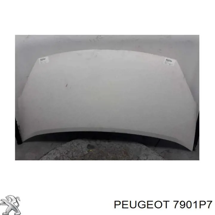 Comprar Capó Citroen Berlingo  B9