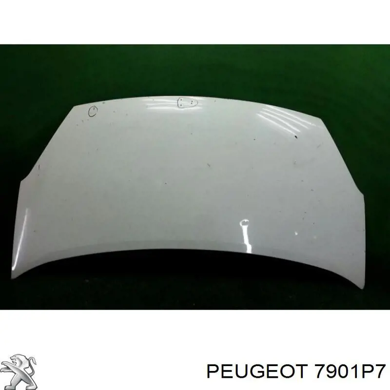  Capó Citroen Berlingo 
