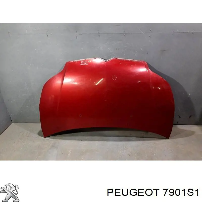 7901S1 Peugeot/Citroen capó