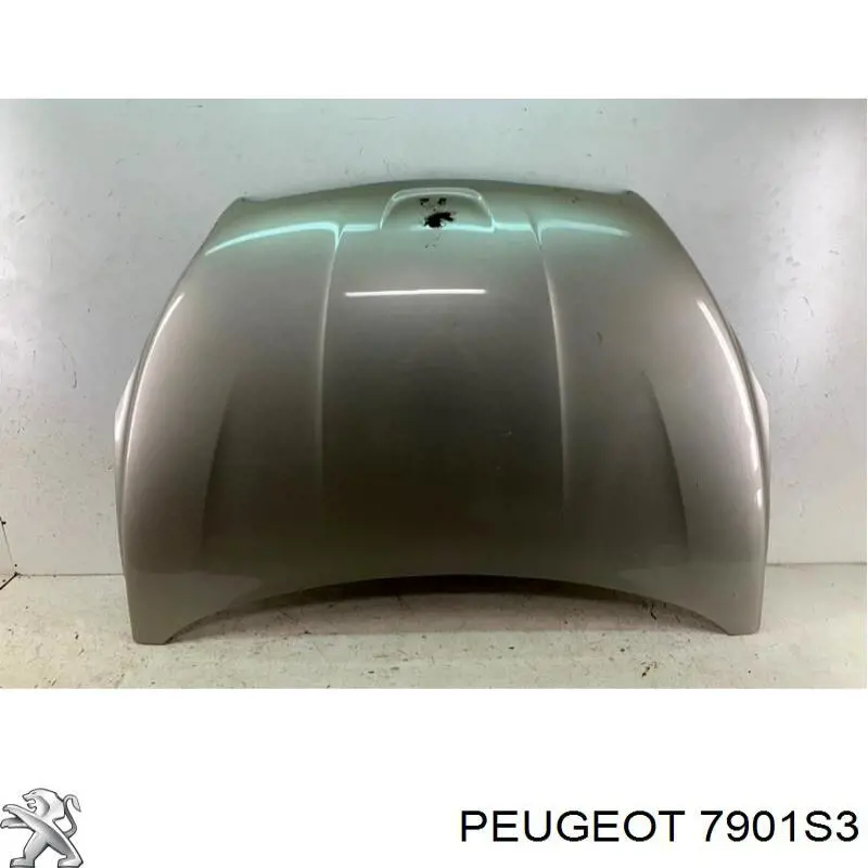 Capó del motor para Peugeot 508 