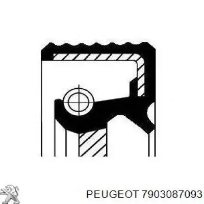 7903087093 Peugeot/Citroen sello de aceite de valvula (rascador de aceite Entrada/Salida)
