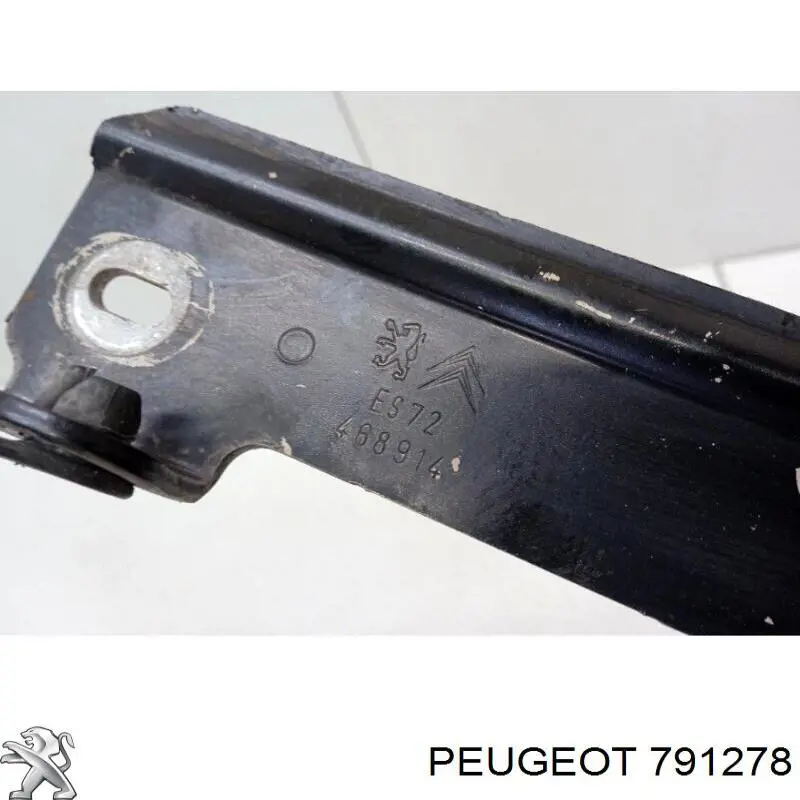Bisagra izquierda del capó 791278 Peugeot/Citroen