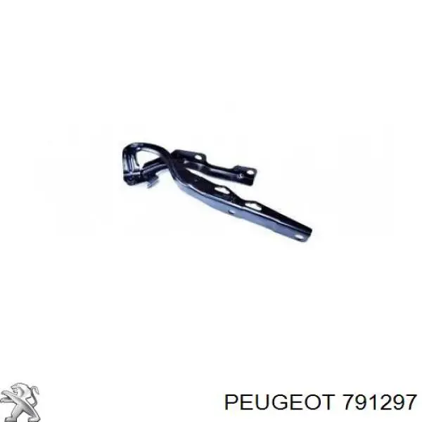 791297 Peugeot/Citroen bisagra, capó del motor izquierda