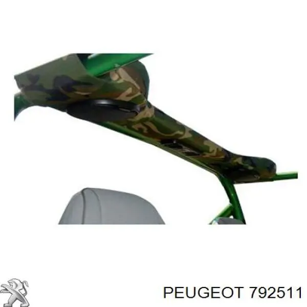 792511 Peugeot/Citroen Muelle de capó 