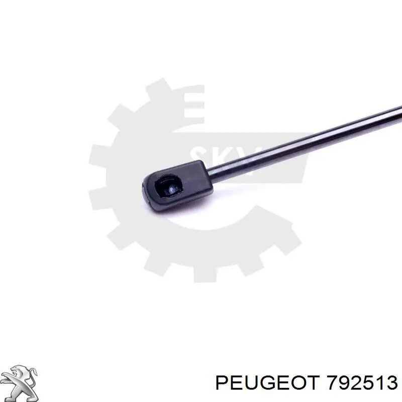 792513 Peugeot/Citroen muelle neumático, capó de motor