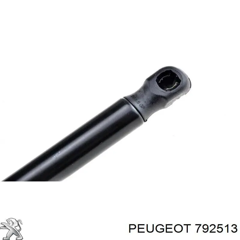Muelle neumático, tapa delantera Peugeot/Citroen 792513 precio, desde 17,46 EUR
