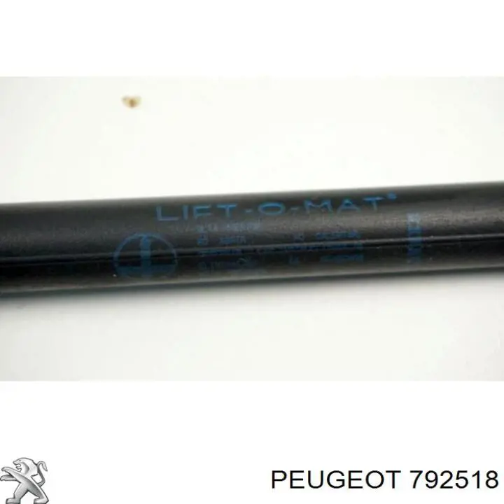 792518 Peugeot/Citroen amortiguador maletero