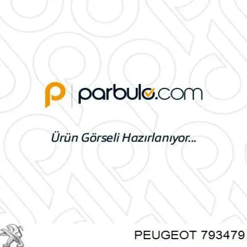 793479 Peugeot/Citroen Cerradura de Capot